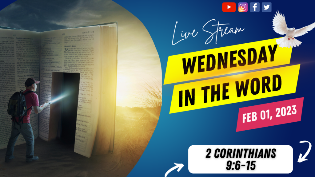 Witw 20230201 Thumbnail 1024x576