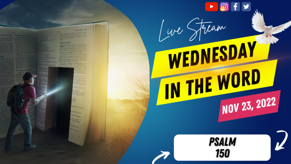 Witw 2022 11 23 Thumbnail 1024x576