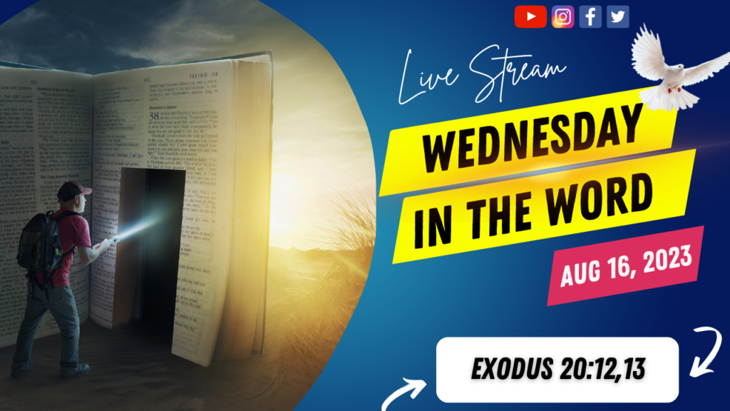 Witw 2023 08 16 Thumbnail 1024x576