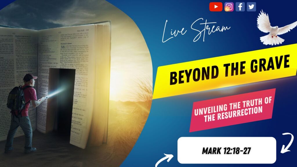 [Description of Image]: A thumbnail image featuring a symbolic representation of a journey through scripture. It includes a man wearing a red shirt, blue jeans, backpack, and a red baseball cap, holding a flashlight and pointing it towards a "door" cutout into a giant-sized Bible. The scene is set in a desert or barren land, with the sun in the distance. A white dove is also depicted in the image, representing peace and guidance [Text Overlay]: "Wednesday in The Word" live stream thumbnail with the Bible book reference Mark 12:18-27 and the date September 18, 2024.