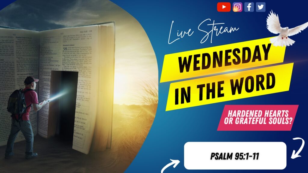 [Description of Image]: A thumbnail image featuring a symbolic representation of a journey through scripture. It includes a man wearing a red shirt, blue jeans, backpack, and a red baseball cap, holding a flashlight and pointing it towards a "door" cutout into a giant-sized Bible. The scene is set in a desert or barren land, with the sun in the distance. A white dove is also depicted in the image, representing peace and guidance [Text Overlay]: "Wednesday in The Word" live stream thumbnail with the Bible book reference Psalm 95 and the date November 27, 2024.