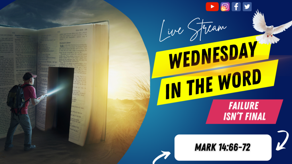 Witw 2025 03 12 Thumbnail 1024x576