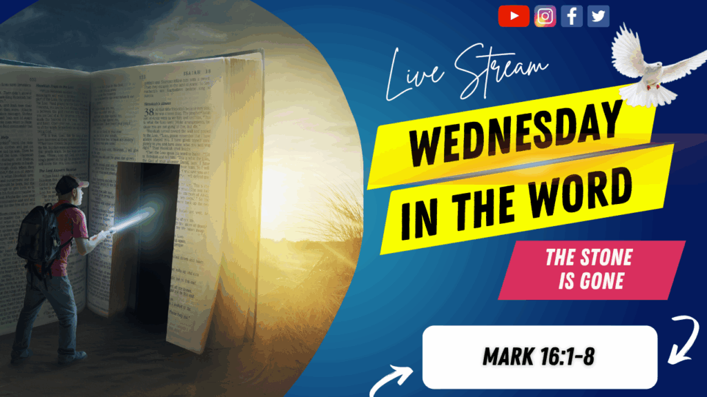[Description of Image]: A thumbnail image featuring a symbolic representation of a journey through scripture. It includes a man wearing a red shirt, blue jeans, backpack, and a red baseball cap, holding a flashlight and pointing it towards a "door" cutout into a giant-sized Bible. The scene is set in a desert or barren land, with the sun in the distance. A white dove is also depicted in the image, representing peace and guidance [Text Overlay]: "Wednesday in The Word" live stream thumbnail with the Bible book reference Mark 16:1-8 and the date April 23, 2025.