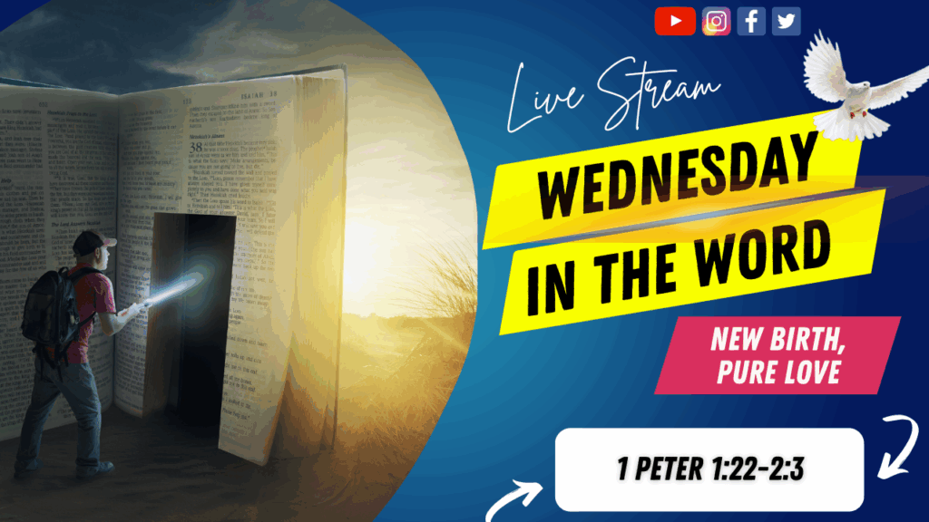 [Description of Image]: A thumbnail image featuring a symbolic representation of a journey through scripture. It includes a man wearing a red shirt, blue jeans, backpack, and a red baseball cap, holding a flashlight and pointing it towards a "door" cutout into a giant-sized Bible. The scene is set in a desert or barren land, with the sun in the distance. A white dove is also depicted in the image, representing peace and guidance [Text Overlay]: "Wednesday in The Word" live stream thumbnail with the Bible book reference 1 Peter 1:22-2:3 and the date May 21, 2025.