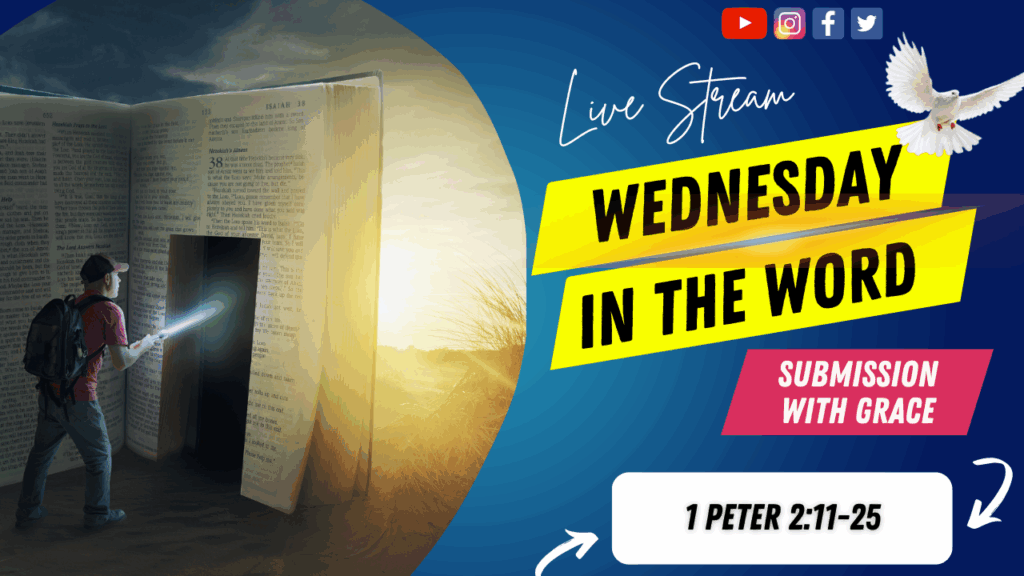 [Description of Image]: A thumbnail image featuring a symbolic representation of a journey through scripture. It includes a man wearing a red shirt, blue jeans, backpack, and a red baseball cap, holding a flashlight and pointing it towards a "door" cutout into a giant-sized Bible. The scene is set in a desert or barren land, with the sun in the distance. A white dove is also depicted in the image, representing peace and guidance [Text Overlay]: "Wednesday in The Word" live stream thumbnail with the Bible book reference 1 Peter 2:11-25 and the date June 04, 2025.